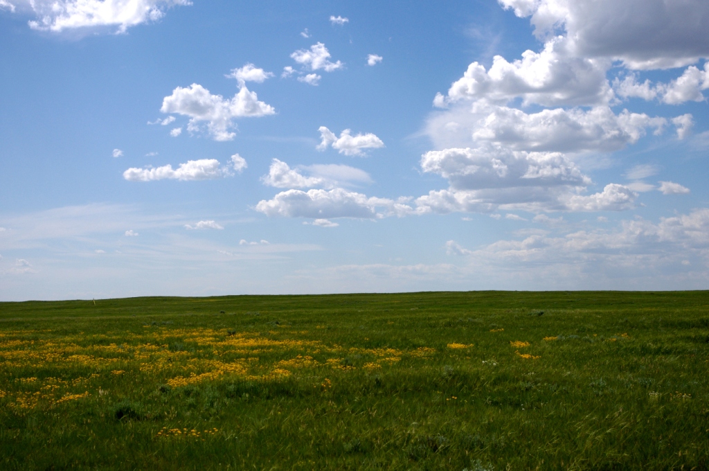 Launch Site – Lethbridge Rocketry Association